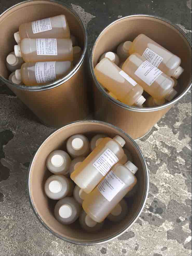 Our Company Expands to Europe Market