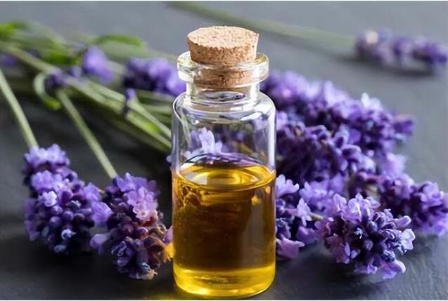 How Lavender Oil can help you sleep?