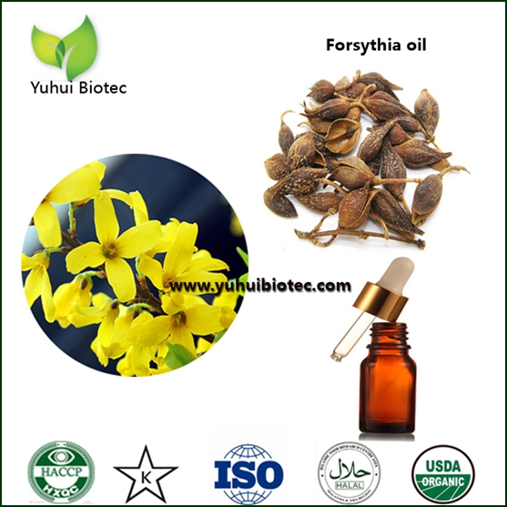 Forsythia oil