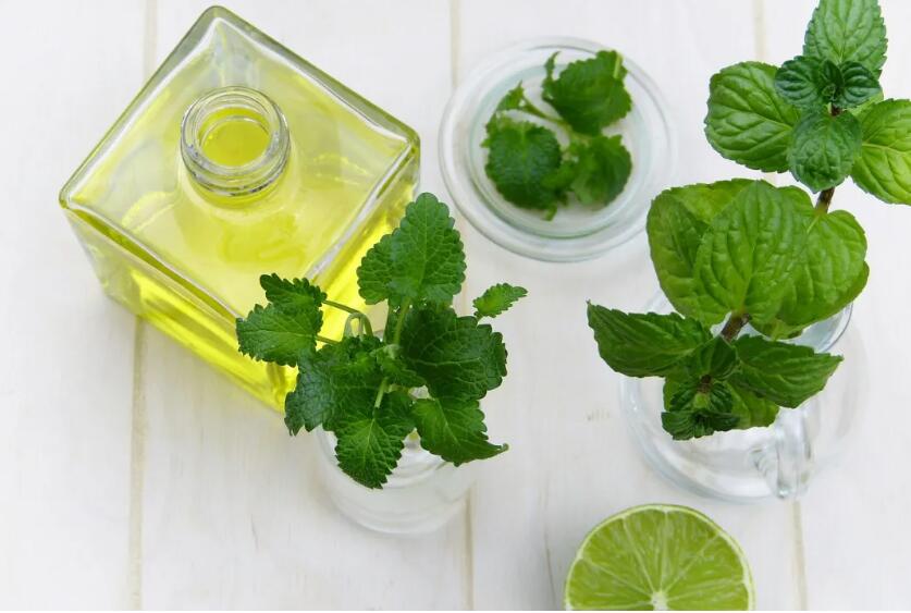 Peppermint Essential Oil Benefits