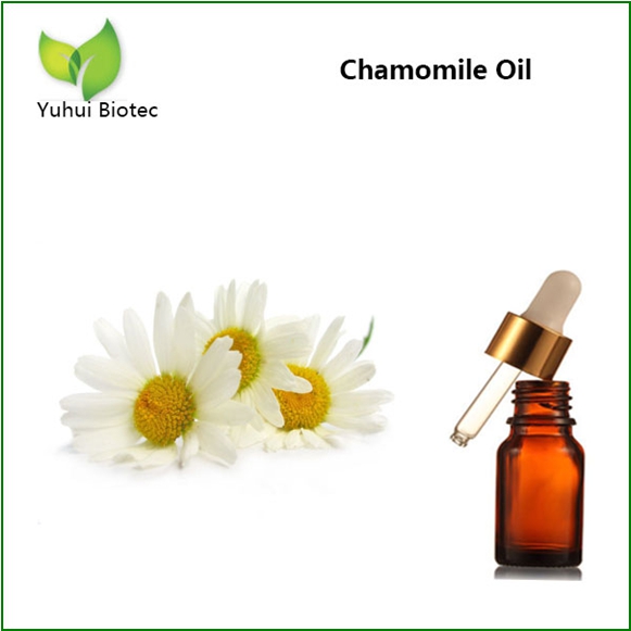 Chamomile Oil