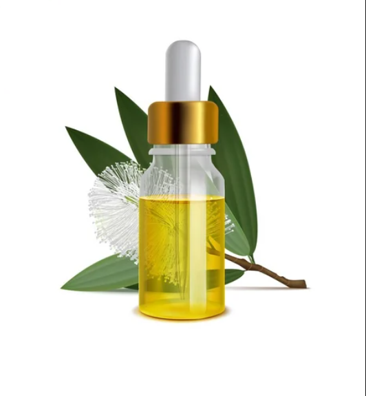 Pure & Natural Cajeput Oil – Wholesale Supplier & Exporter