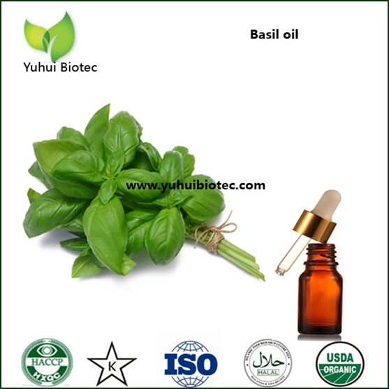 Basil oil