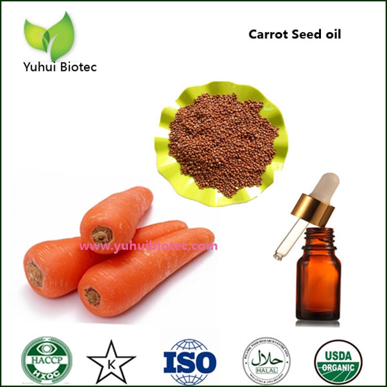 Carrot seed oil