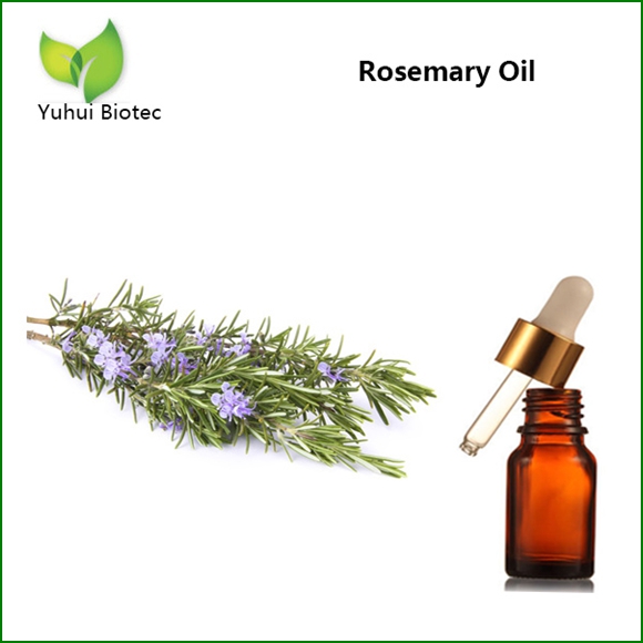 Rosemary Oil