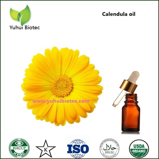Calendula Oil
