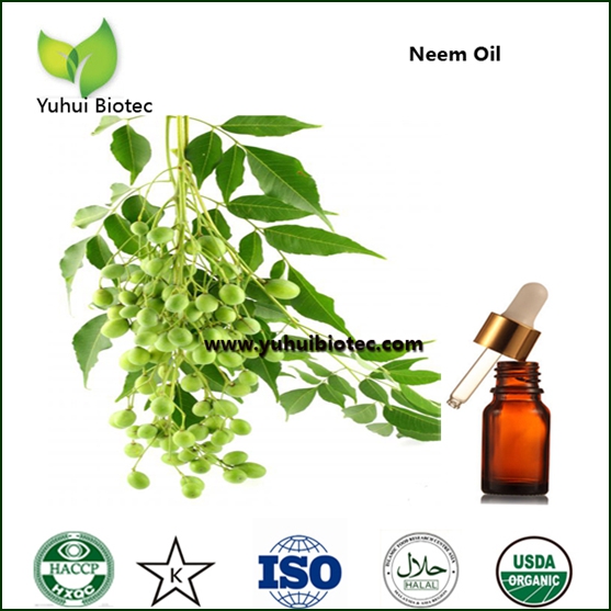 Neem oil