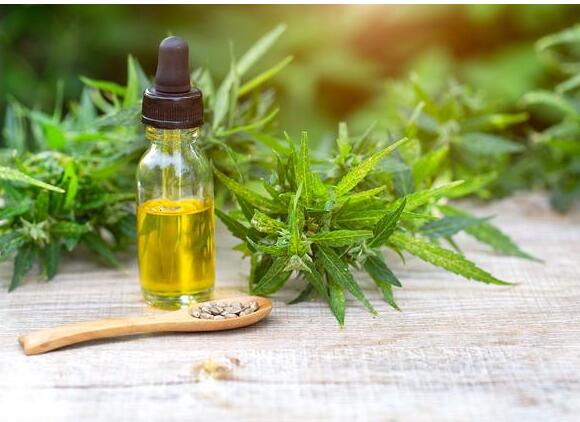 How to Make Homemade Essential Oil Insect Repellent Spray