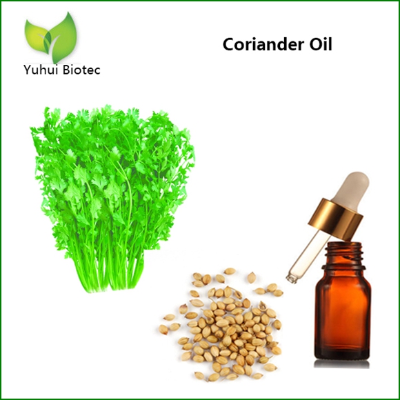 Coriander Seed Oil
