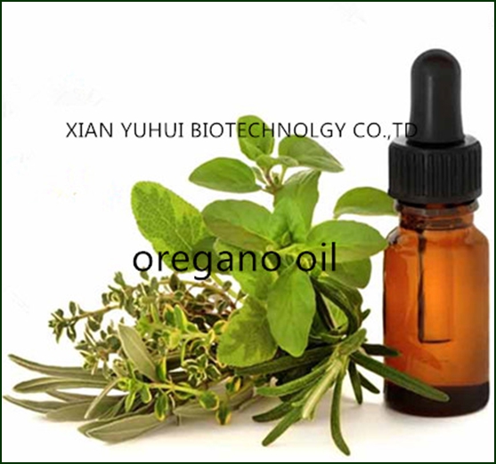 Oregano Oil