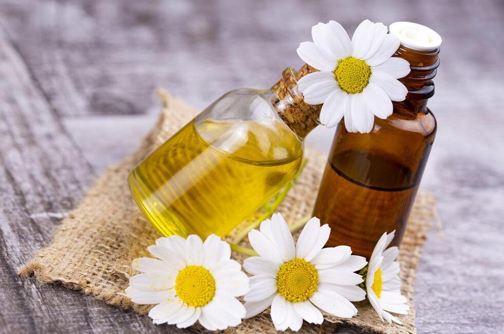 What Essential Oils are Safe for Cats？