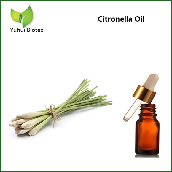 Citronella oil
